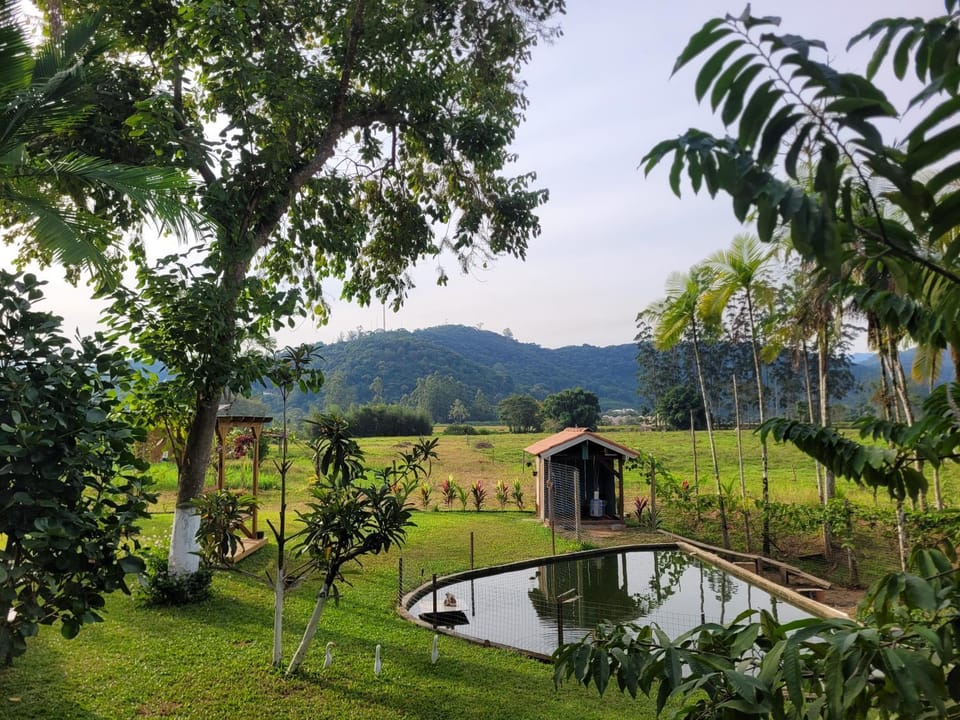 Natural landscape, Lake view