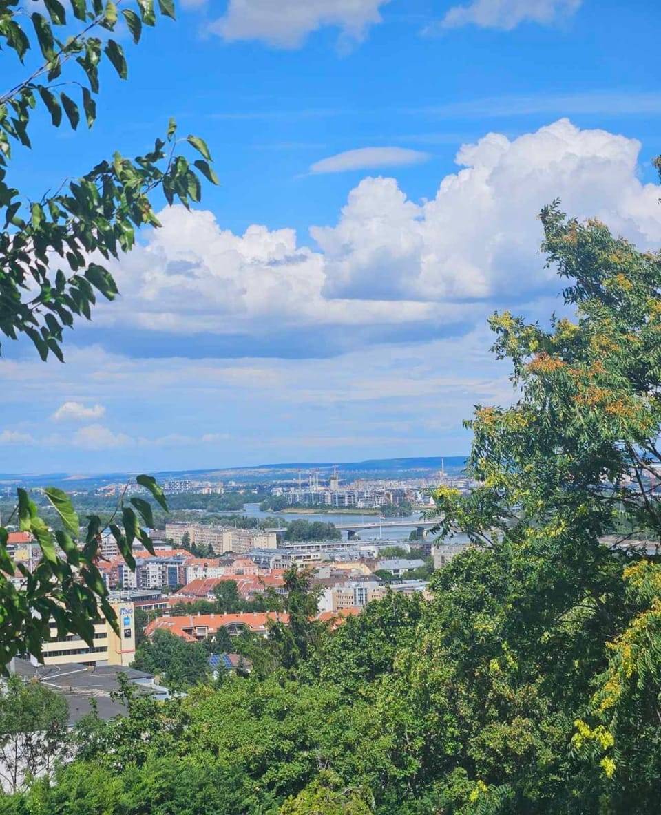 White Rose Hill Luxury Apartment Budapest Apartment in Budapest
