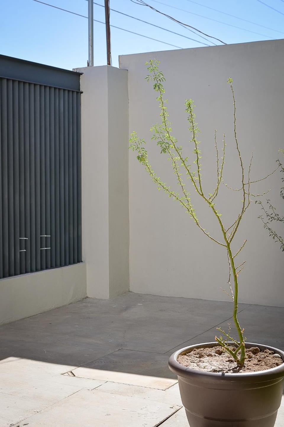 Garden view