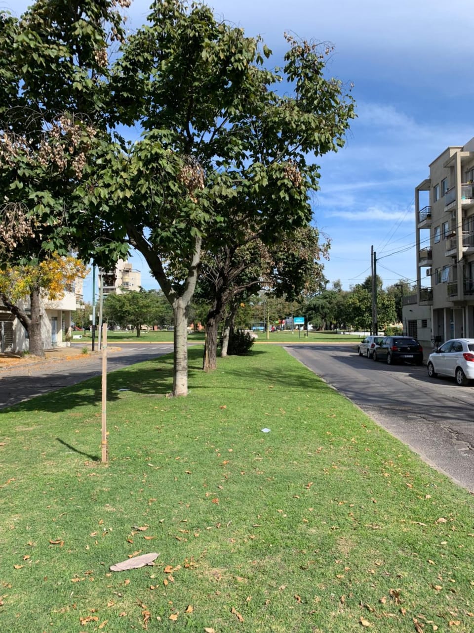 Neighbourhood