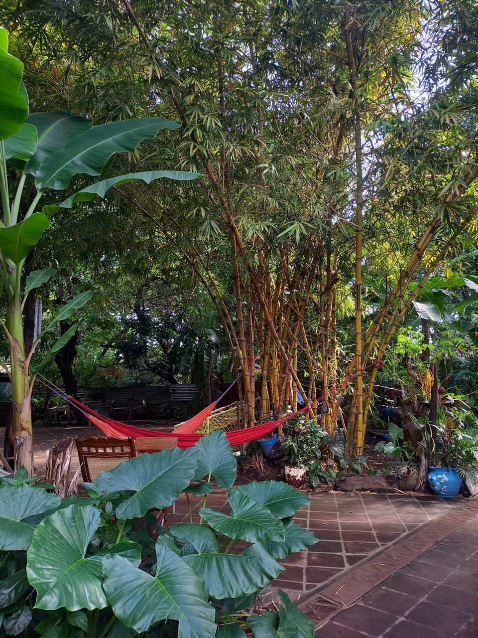 Hostal PAUI Vacation rental in Nicaragua