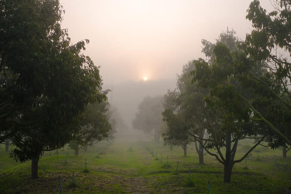 Natural landscape, Sunrise