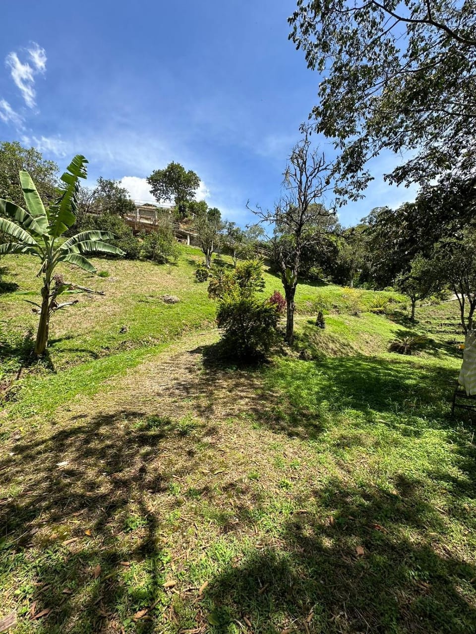 ENTRE LOMAS GLAMPING - Finca el Reposo House in Antioquia