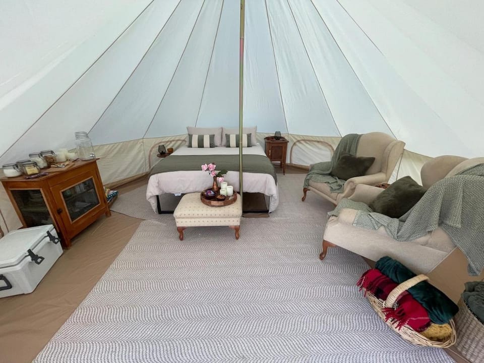 Bed, Living room, Photo of the whole room, Seating area, Bedroom