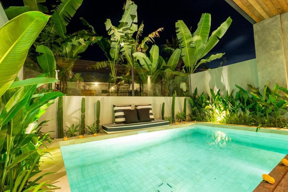 Night, Garden, Garden view, Pool view, Swimming pool, sunbed