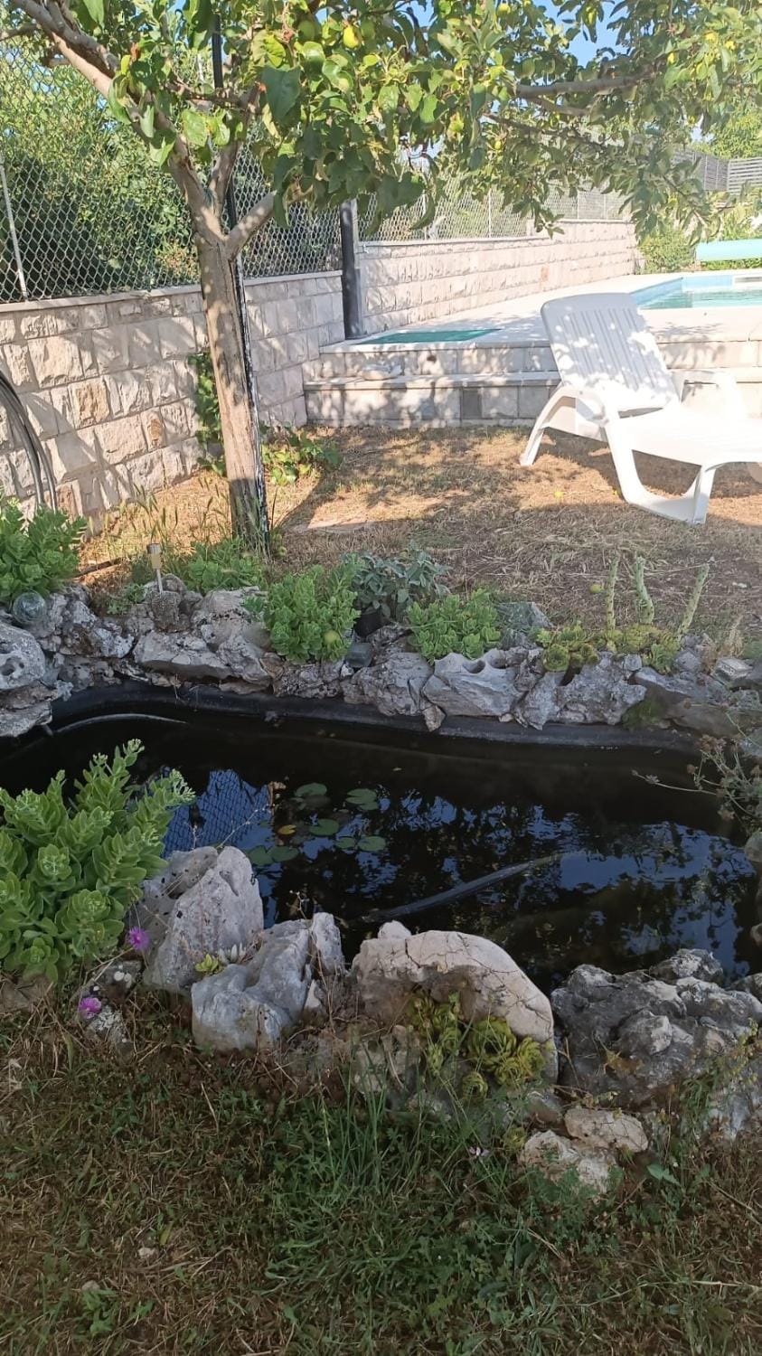 Charming village house with pool House in Split-Dalmatia County