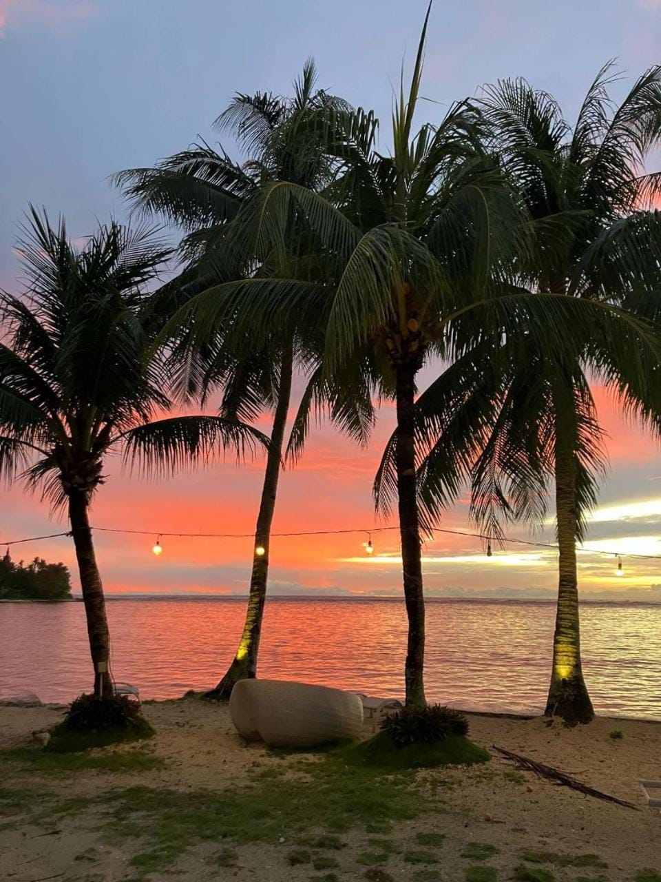Day, Natural landscape, Beach, Sunrise