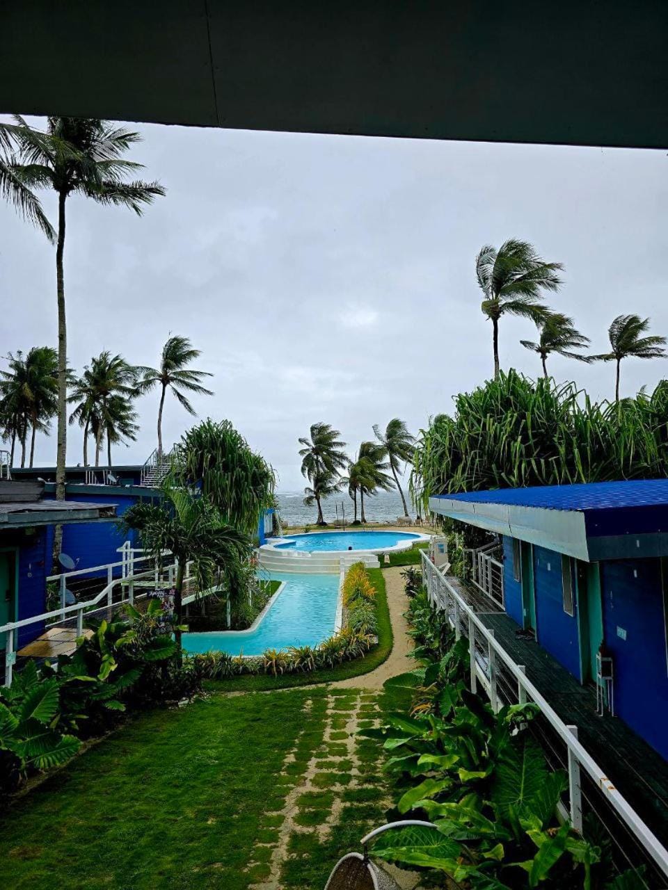 Day, Natural landscape, Garden, Garden view, Pool view, Swimming pool