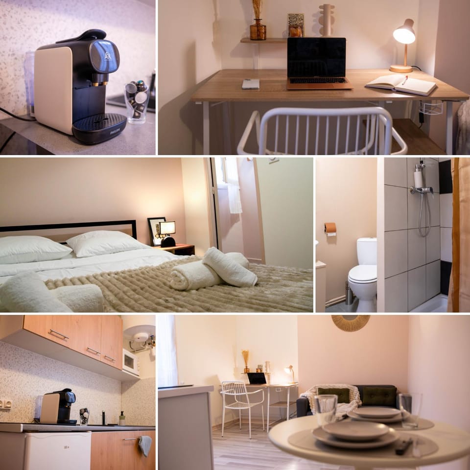 Bed, Kitchen or kitchenette, Living room, Photo of the whole room, Seating area, Dining area, Bedroom