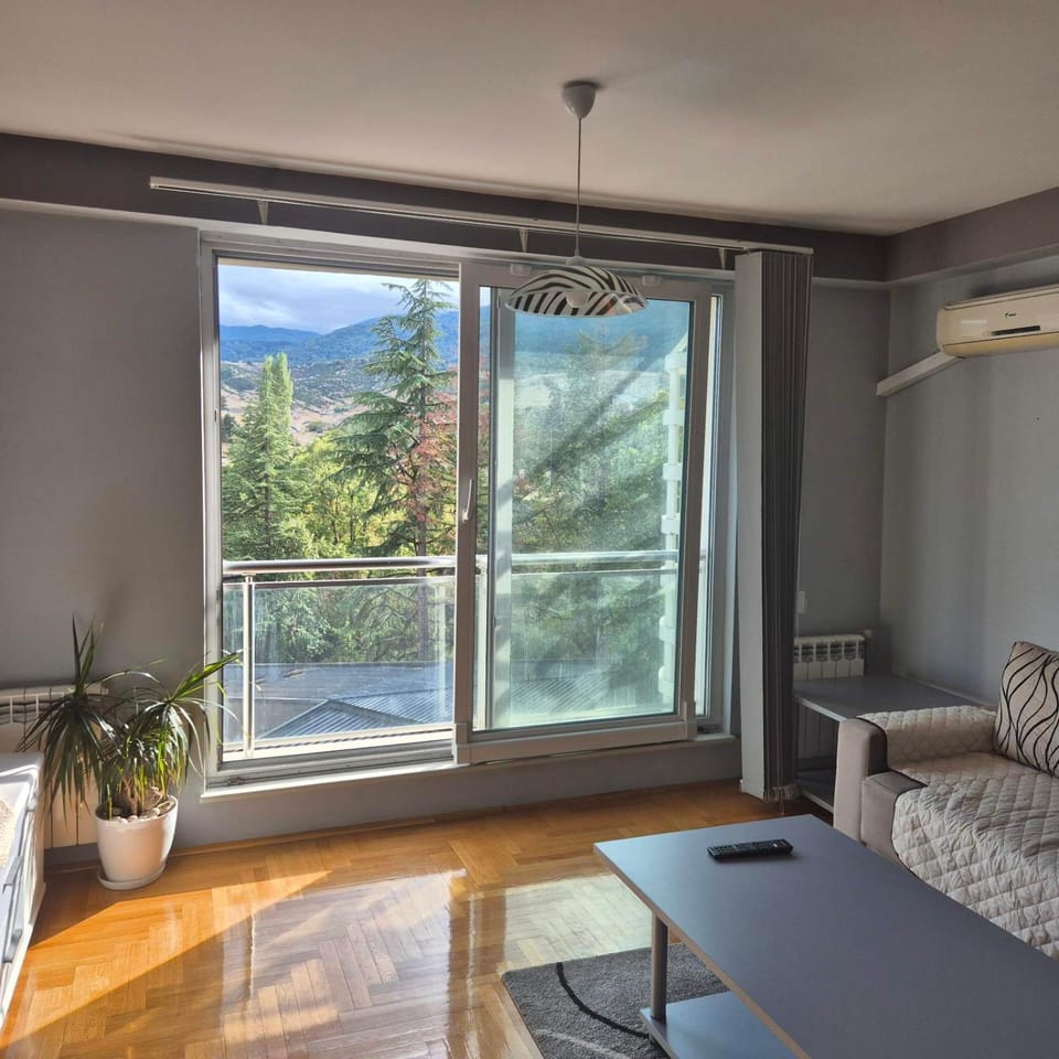 Living room, Mountain view, Quiet street view