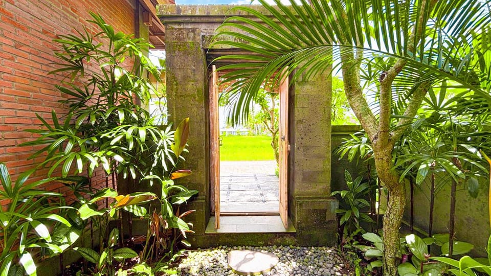 Spring, Day, Garden, Garden, Garden view