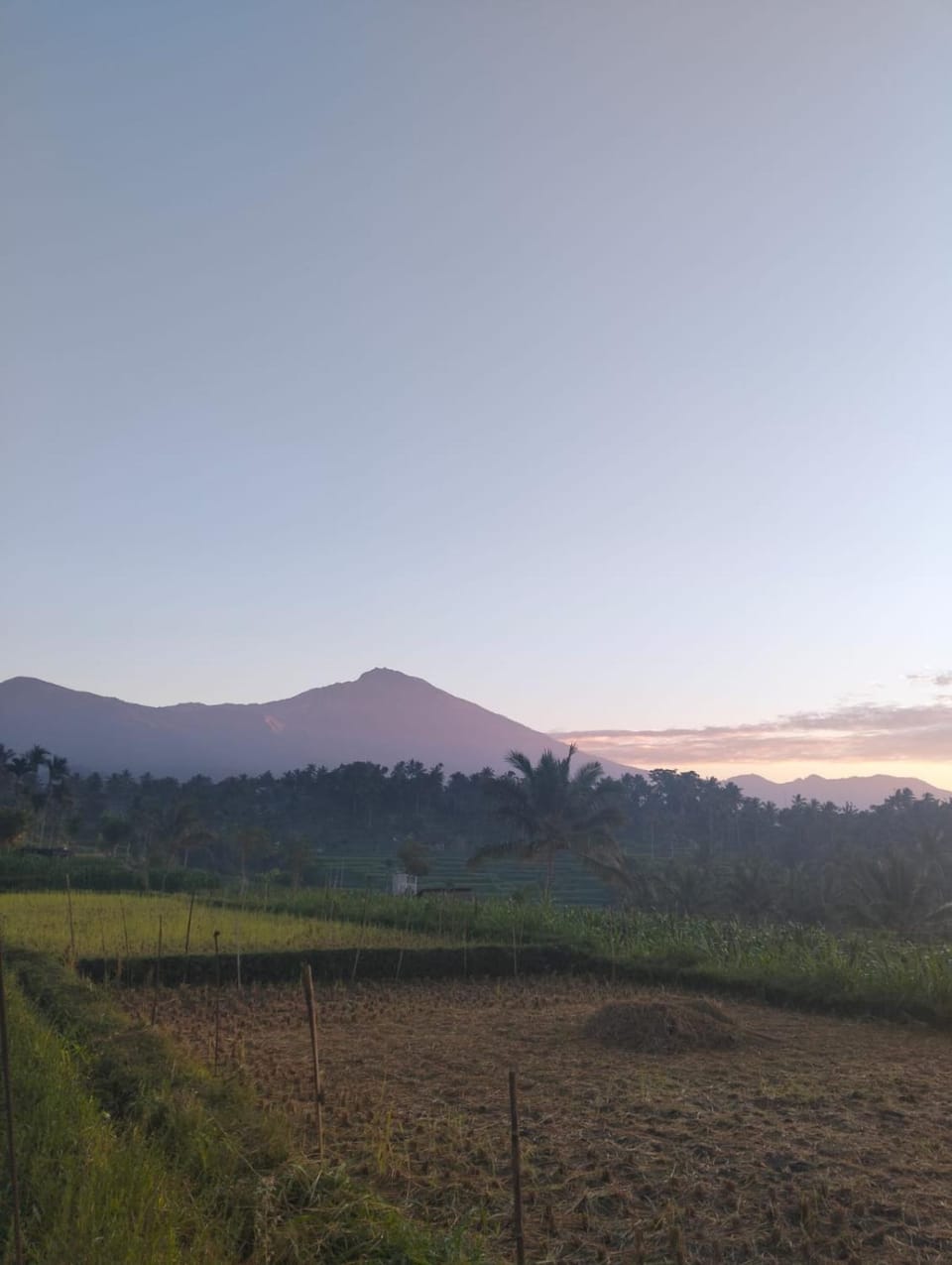 Lombok Grace Bungalows Bed and Breakfast in West Nusa Tenggara, Indonesia