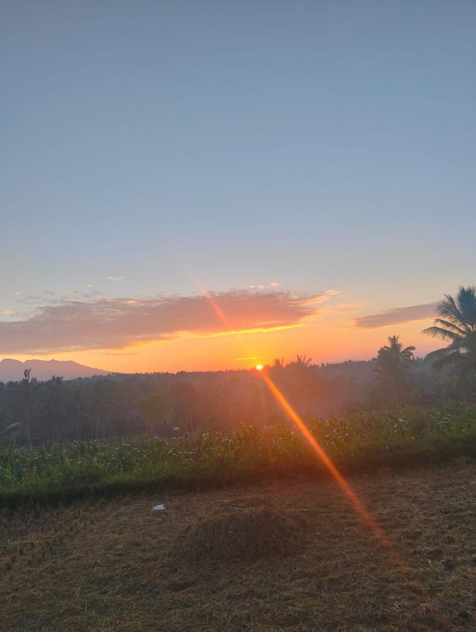 Lombok Grace Bungalows Bed and Breakfast in West Nusa Tenggara, Indonesia