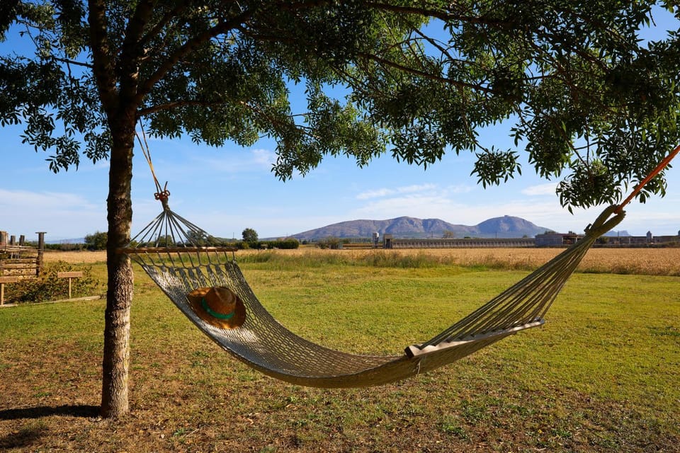 Natural landscape, Garden, Garden view