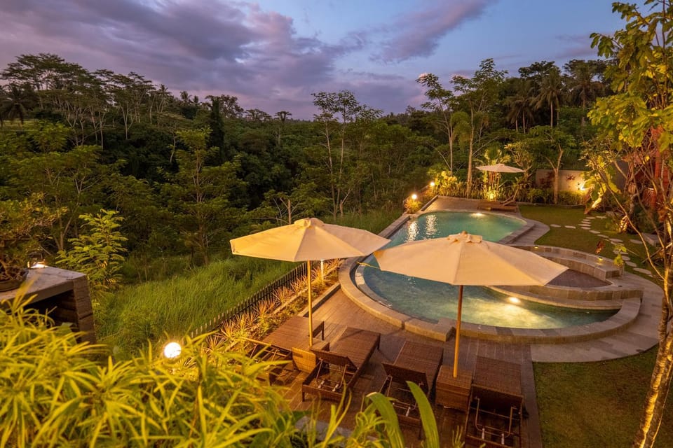 Natural landscape, Garden, Garden view, Pool view, Swimming pool, sunbed