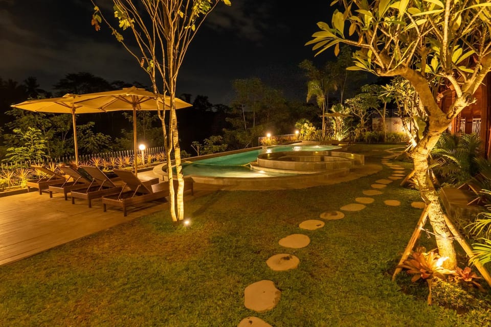 Night, Garden, Garden view, Pool view, Swimming pool, sunbed