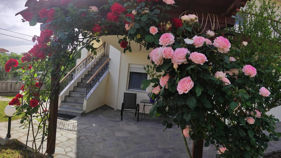 Spring, Garden, Garden view