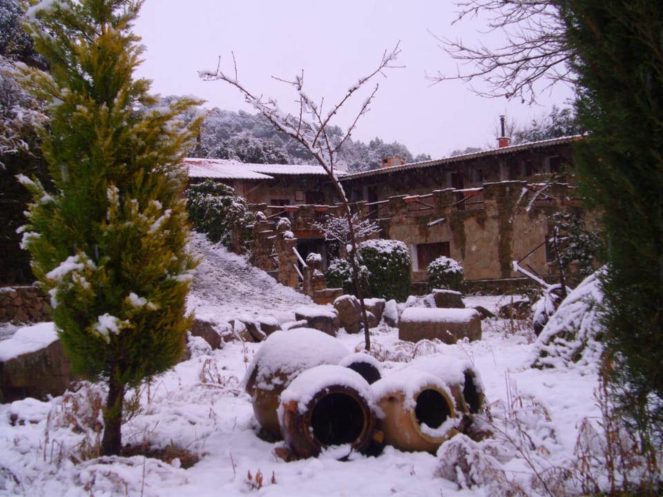 Natural landscape, Winter