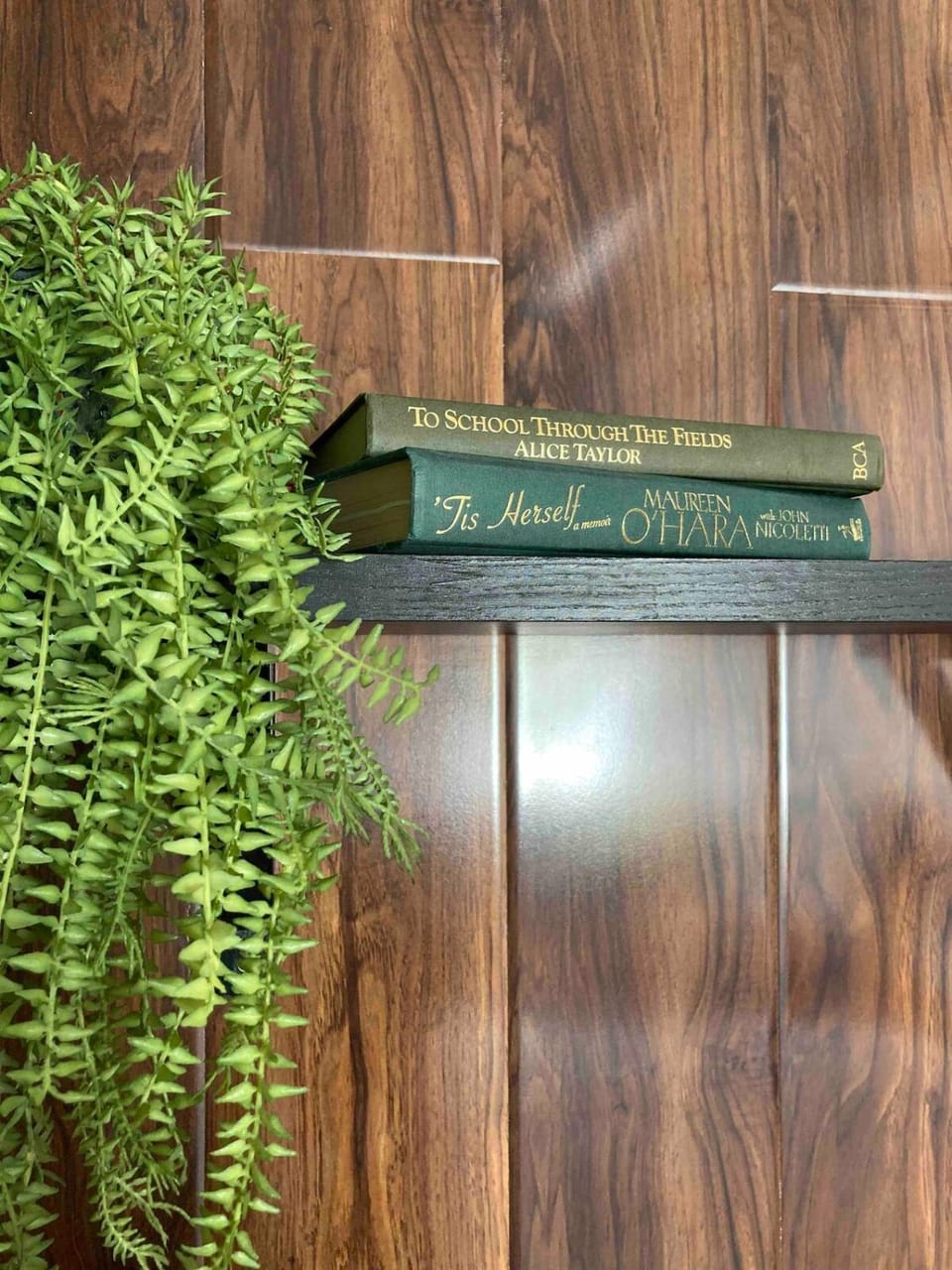 The Nest Apartment in County Kerry