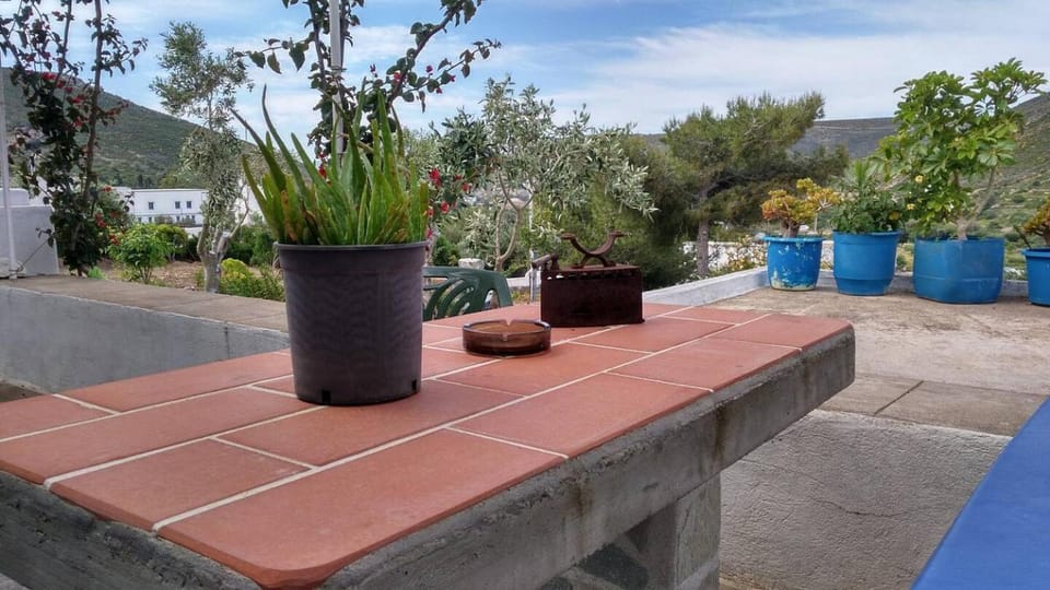Garden, Balcony/Terrace