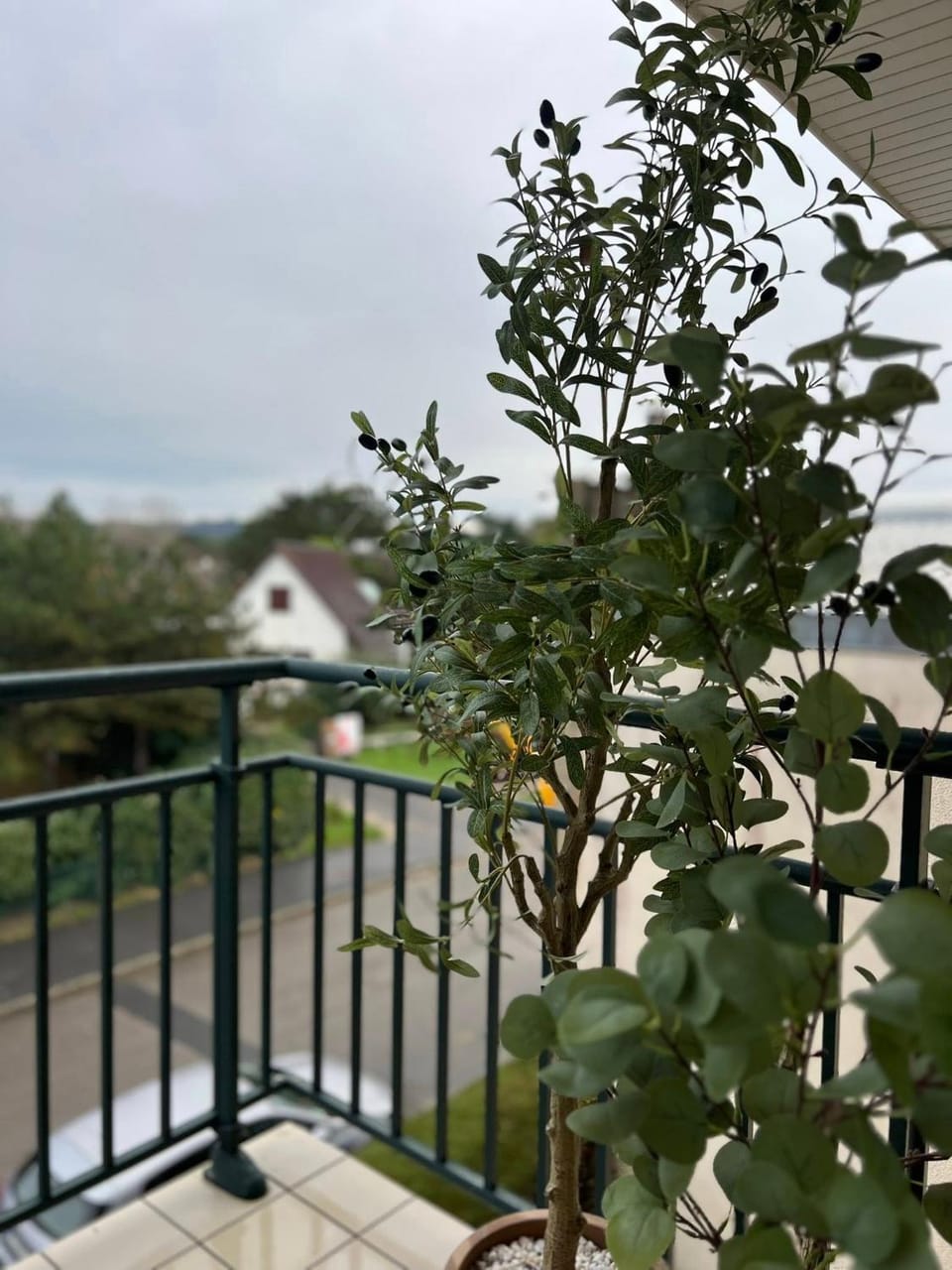 View (from property/room)