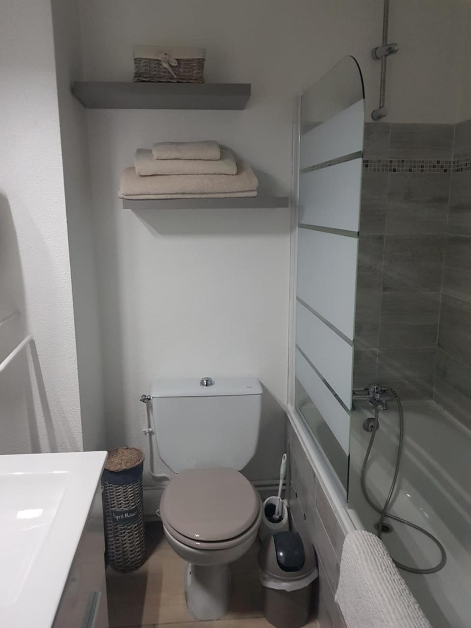 Bathroom, Living room