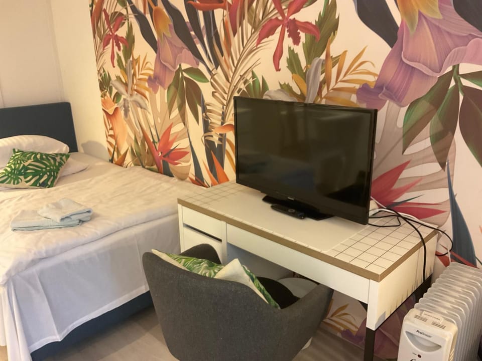 TV and multimedia