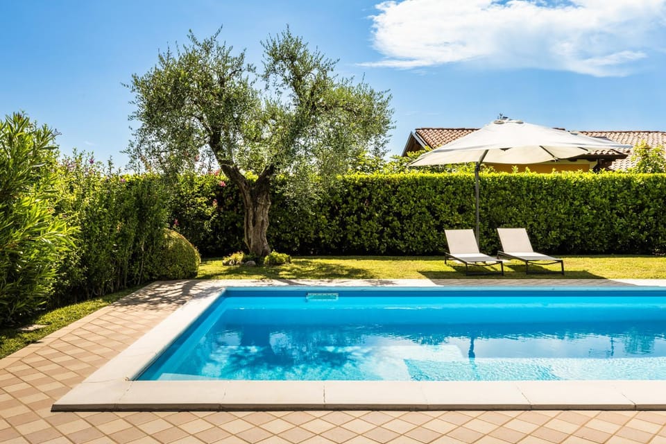 Patio, Spring, Day, Natural landscape, Garden, Garden view, Pool view, Swimming pool, sunbed