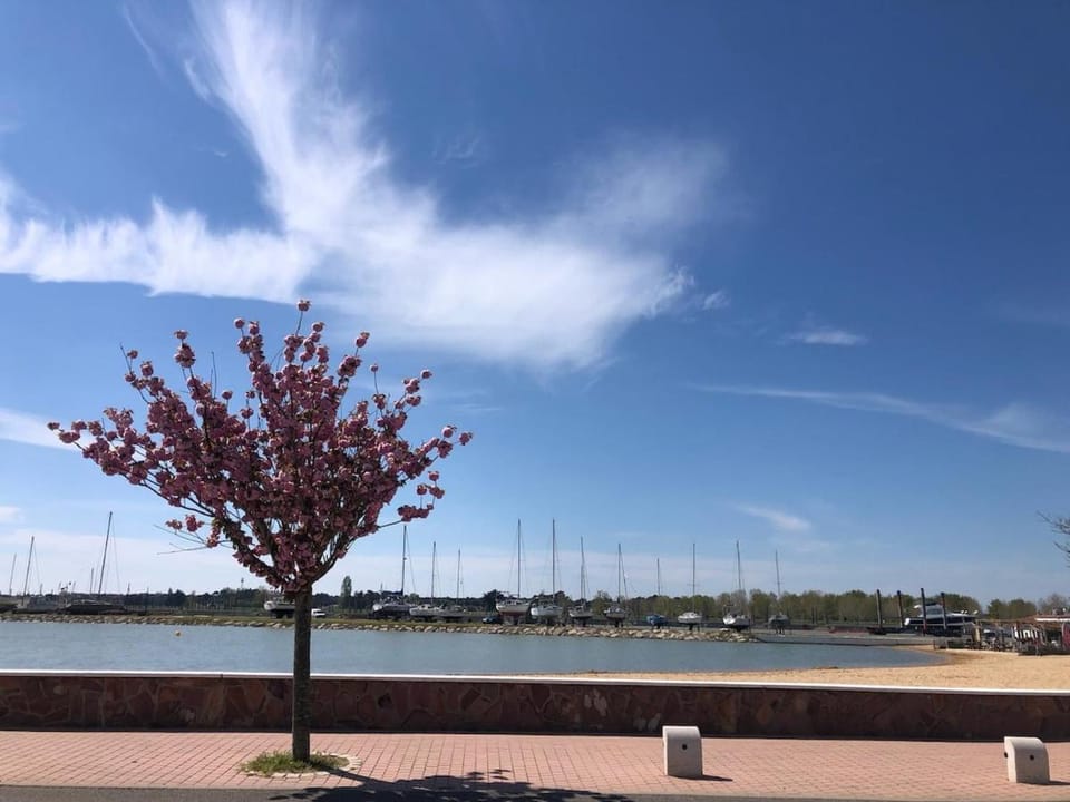 Beach, Lake view