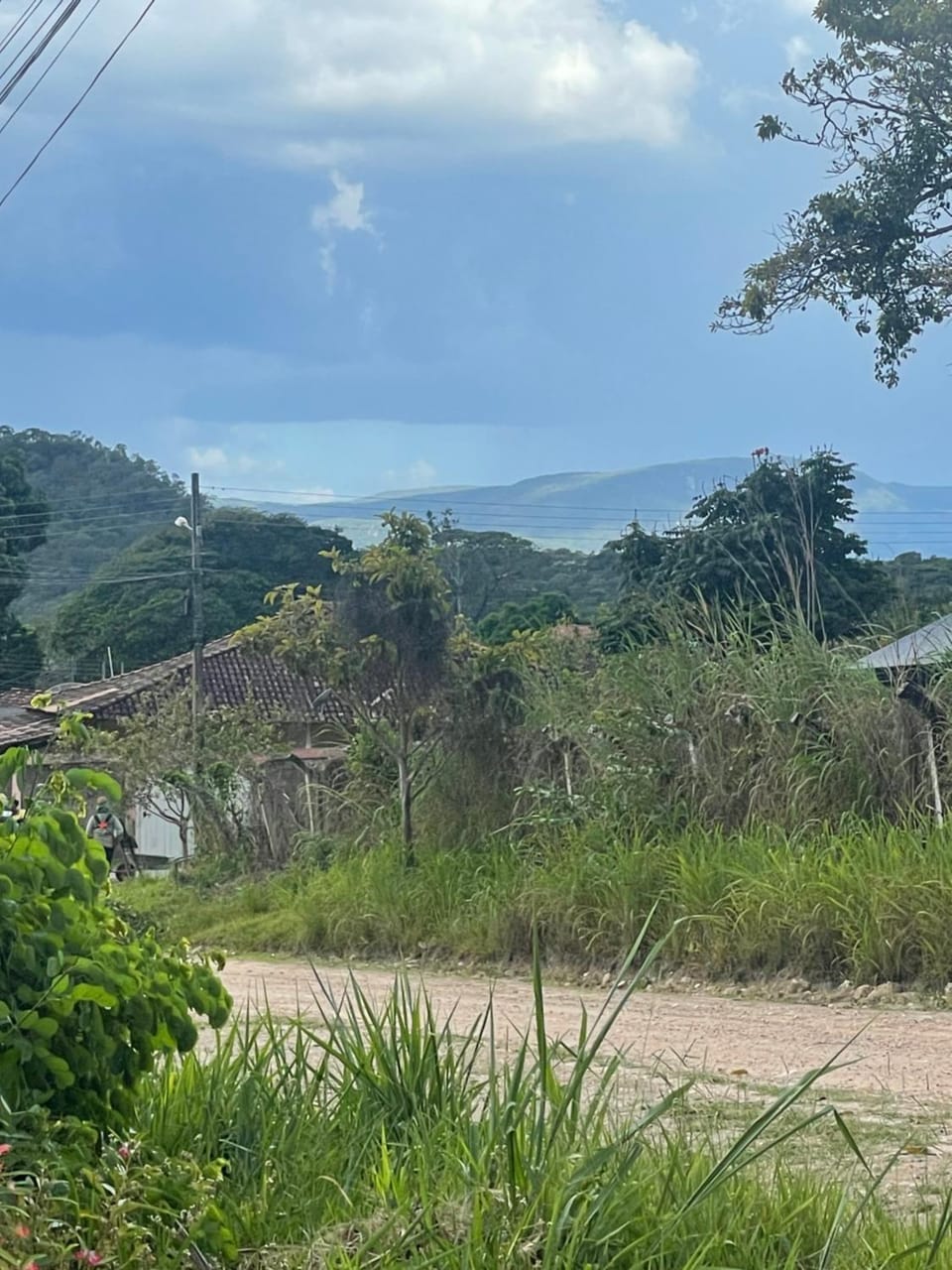 View (from property/room)