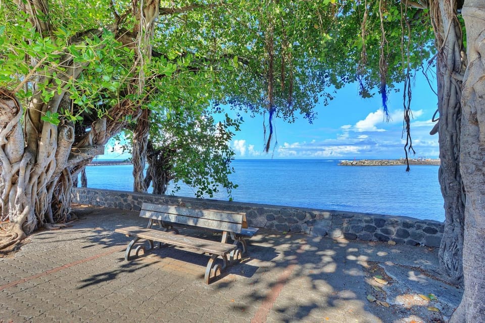 Les Banians - Terre Sainte House in Réunion