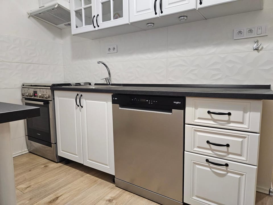 Kitchen or kitchenette, dishwasher, oven