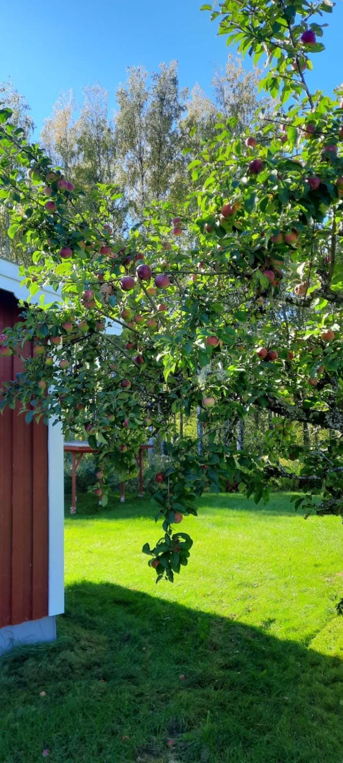 'Bij de buren' House in Sweden