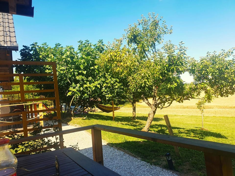 Day, Garden, Garden view