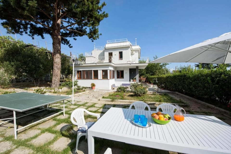 Patio, Garden, Table tennis, Dining area, Garden view