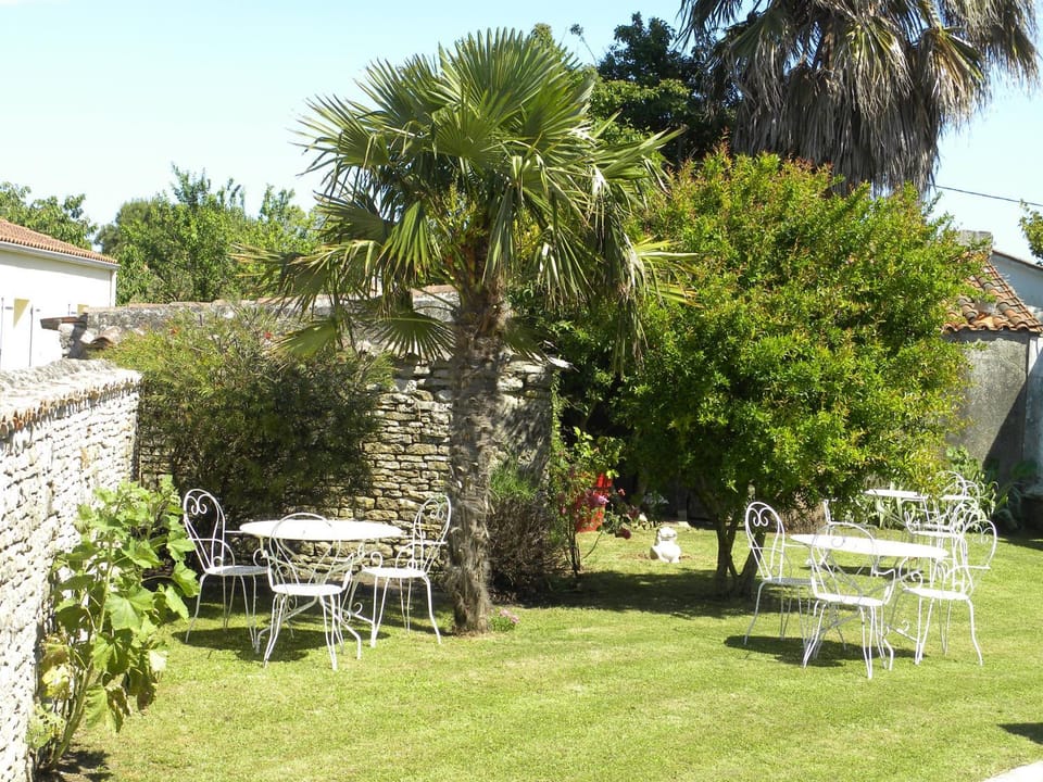 Garden, Balcony/Terrace