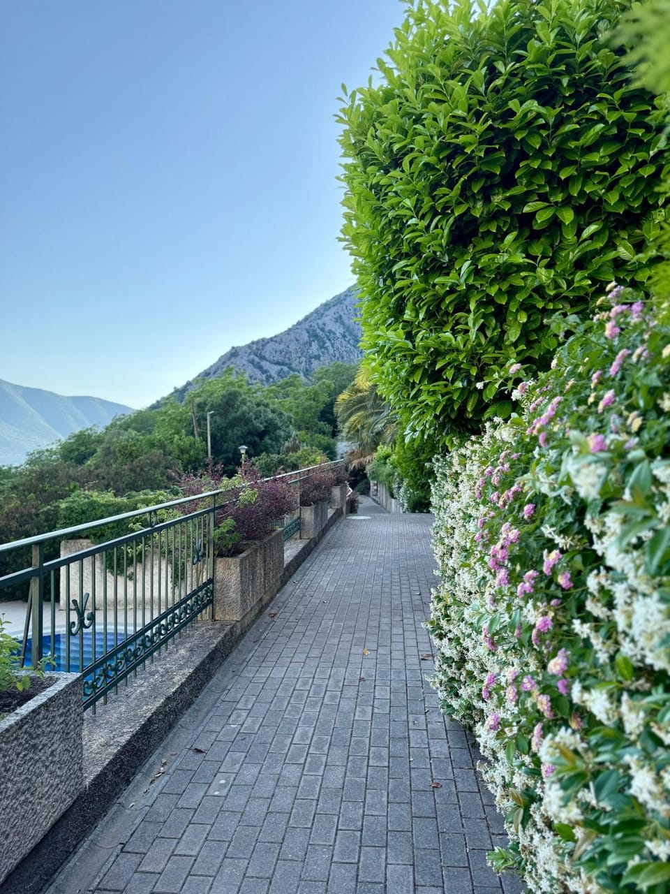 Natural landscape, Mountain view