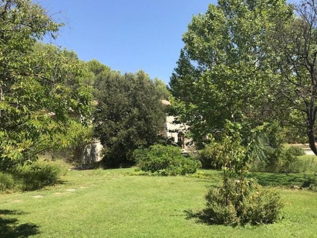 Natural landscape, Garden, Garden view