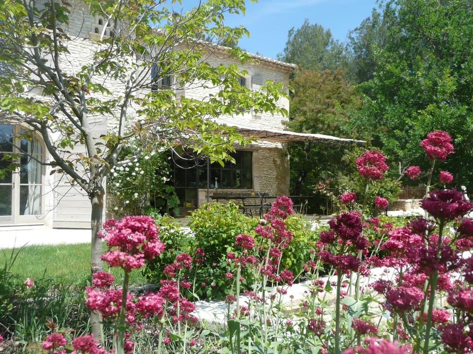Property building, Spring, Garden, Garden view