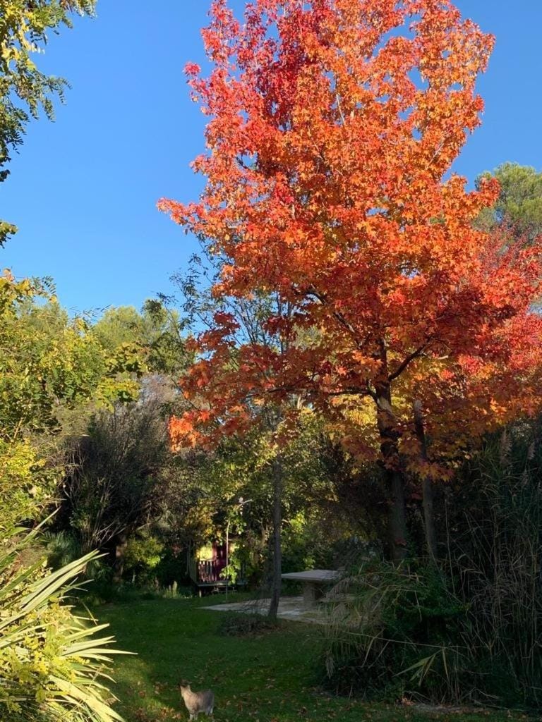 Natural landscape, Autumn