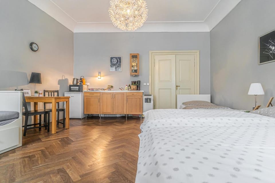 Bed, Kitchen or kitchenette, Photo of the whole room, Seating area, Bedroom