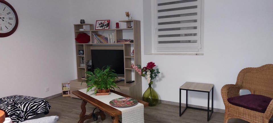Agréable T2 50m2 Apartment in Occitanie