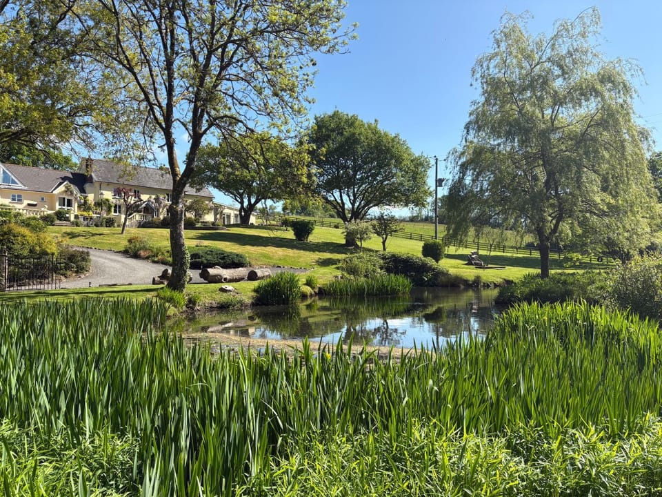 Natural landscape, Garden, Garden view