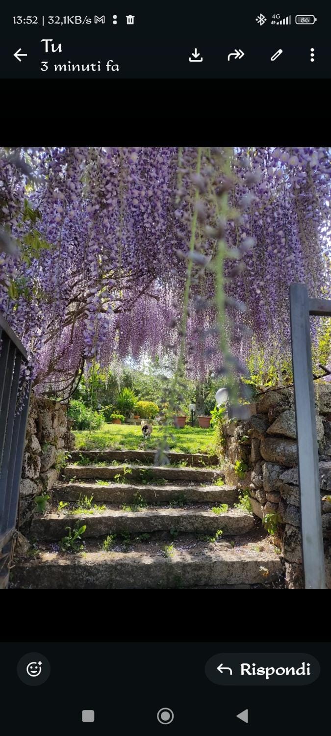 B&B San Michele Bed and Breakfast in Sardinia