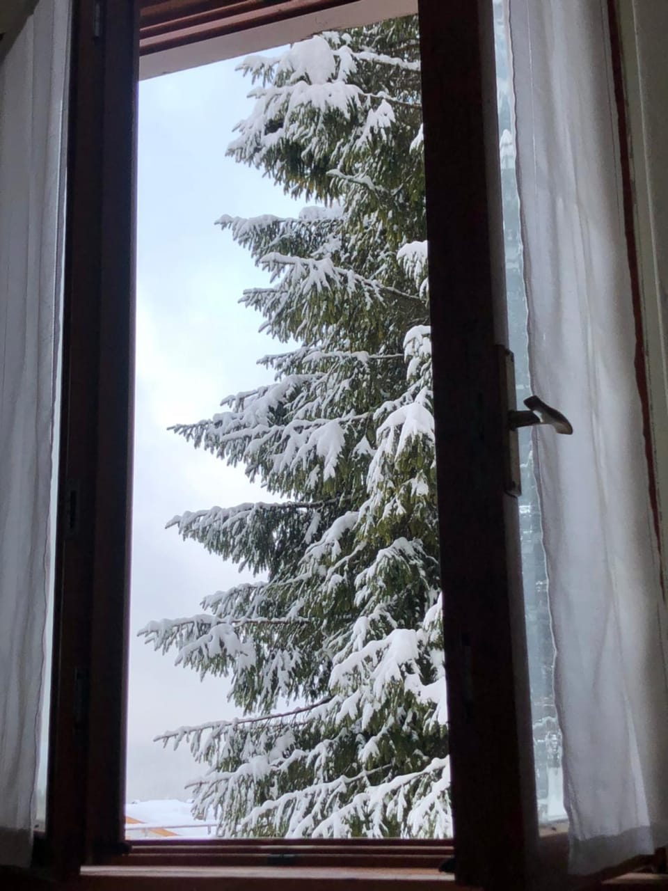 Natural landscape, Winter