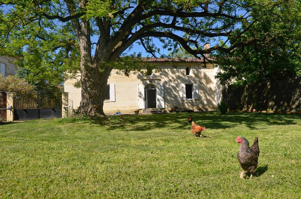 Property building, Garden