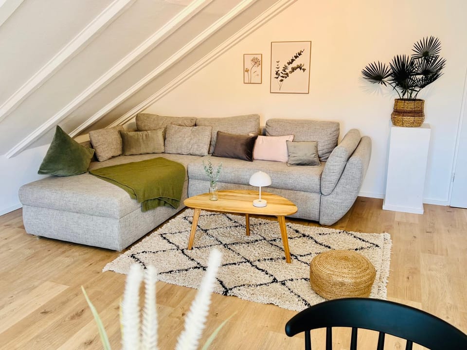 Gemütliches Loft in Homburg - Komfort & Charme direkt an der Uniklinik mit Küche und Bad Apartment in Saarland, 66, Germany