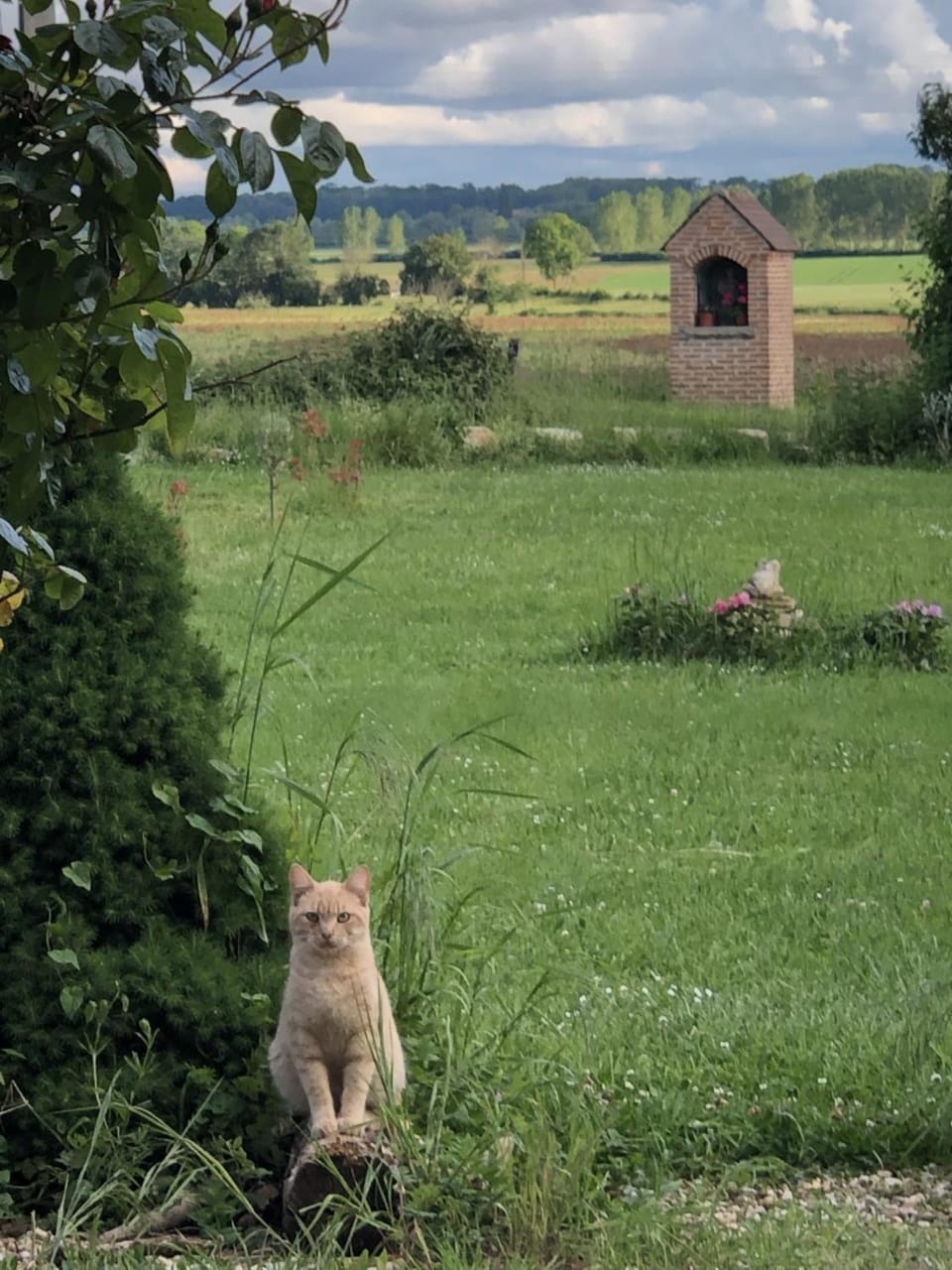 Garden, Garden
