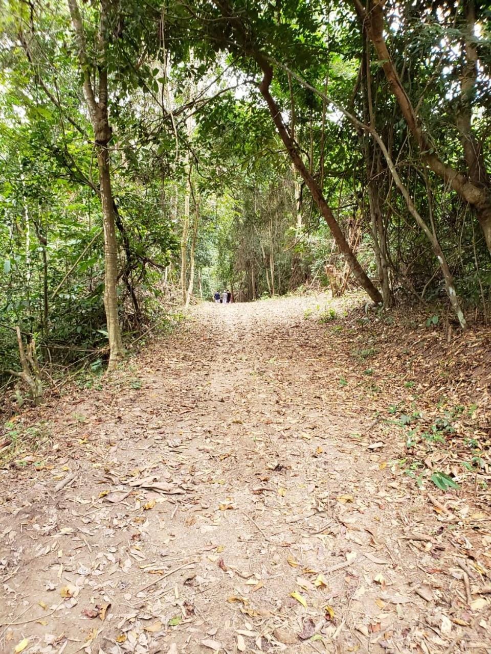 FAZENDA BOSQUE DAs PALMEIRAS Farm Stay in Itamaracá