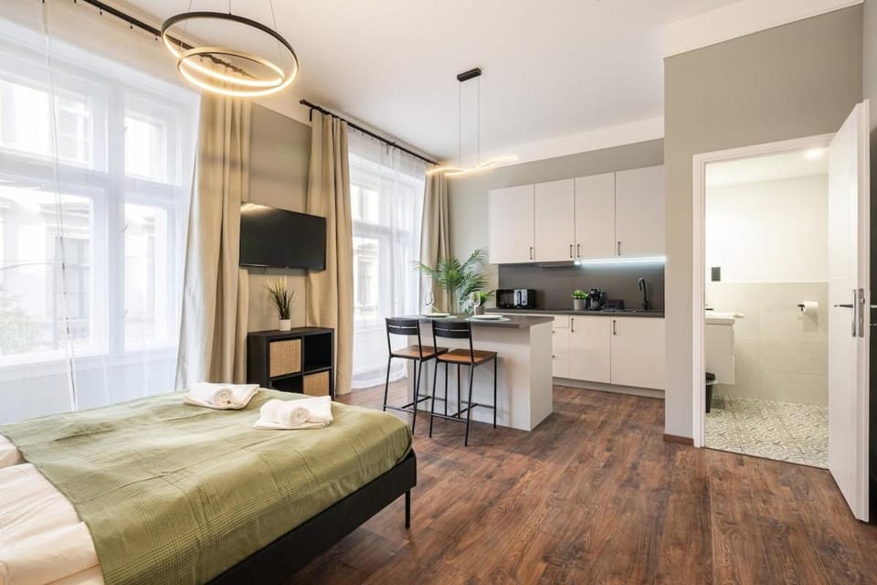 Premium 4 Bedroom Apartment on Maria St Apartment in Budapest
